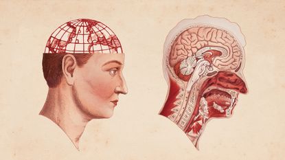 Photo collage of a vintage medical illustration of the brain; in one of the diagrams, the brain has been replaced by an image of the Earth.