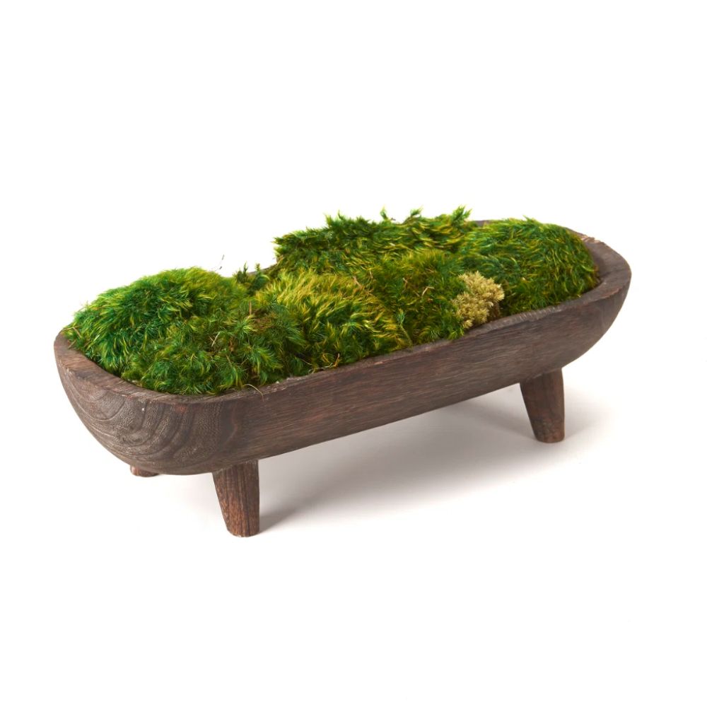 Wooden footed bowl with moss