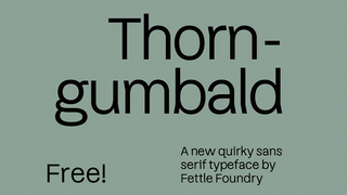 Thorngumbald, an exciting font shown on a sage green background with a brief overview of the typeface, by Fettle Foundry