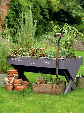 raised planter with labels filled with crops