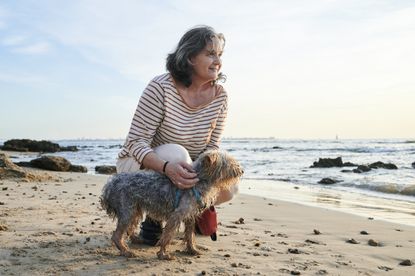 Woman with yorkshire dog on the beach at sunset