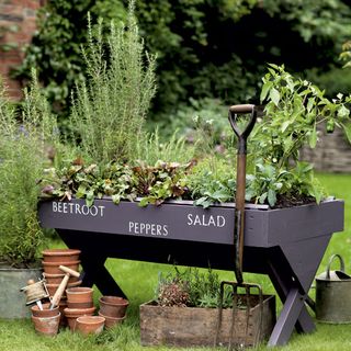 variety of herbs in container planter in garden with pots