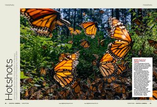 Photo of first two pages of the Hotshots gallery, showcasing the Environmental Photography Award 2024, in the August 2024 issue of Digital Camera magazine