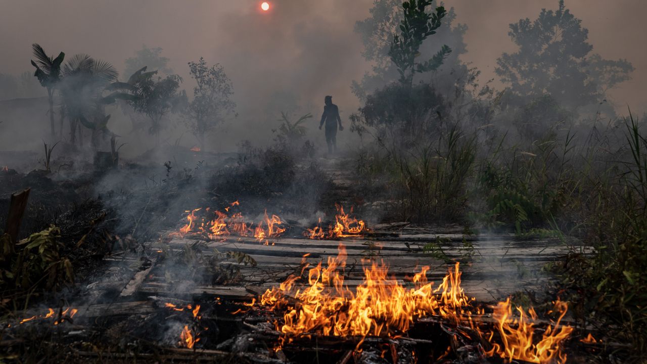 gettyimages-1168232028_cropped.jpg