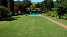 A pristine lawn and swimming pool in a formal backyard