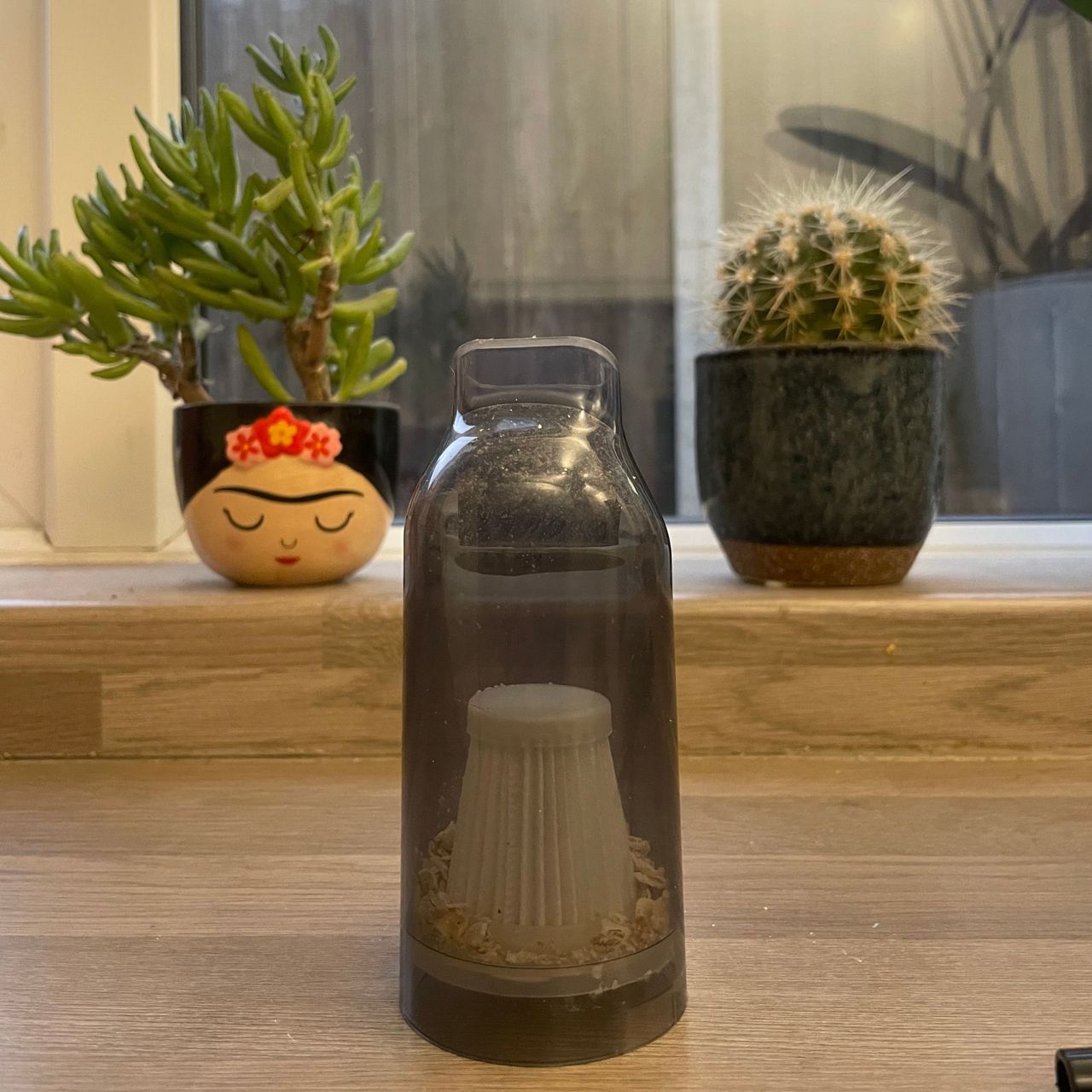 Dust canister of the Lakeland 3-in-1 Mini Vacuum Cleaner sitting on kitchen coutner with plants behind it