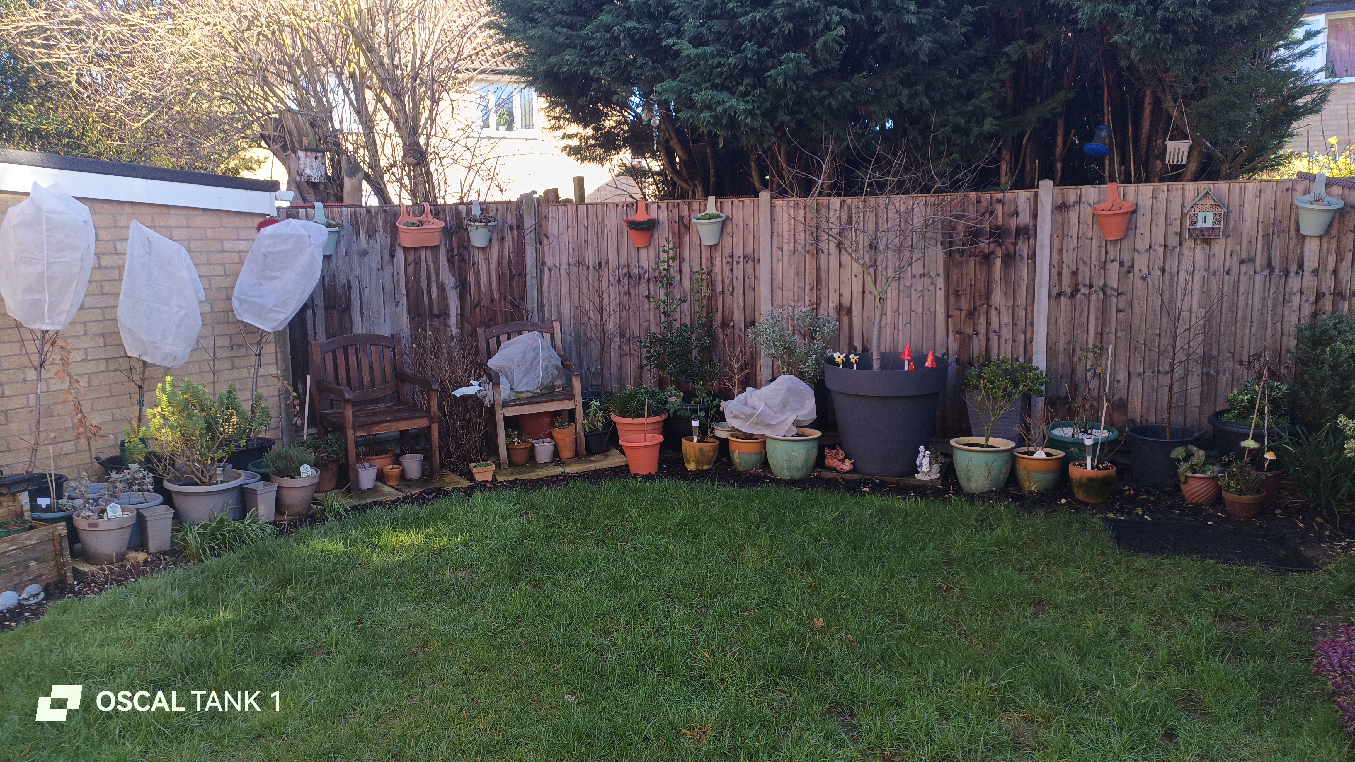 Blackview Oscal TANK 1 example pictures