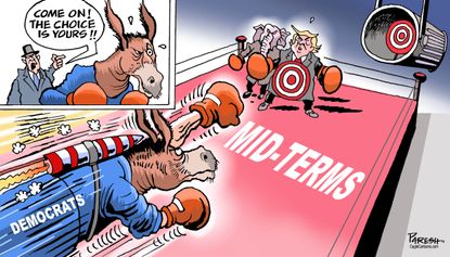 U.S. Democrats boxing hit Trump GOP midterm elections