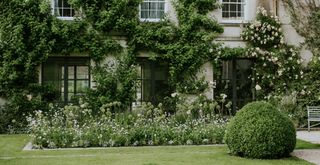 English country garden with lawn and white elegant planting in borders next to the house exterior