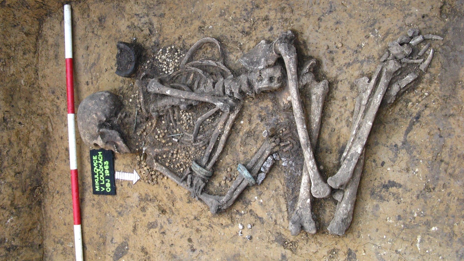 Skeleton of woman from Bronze-Age Bohemia discovered in Mikulovice near Pardubice, Czech Republic.