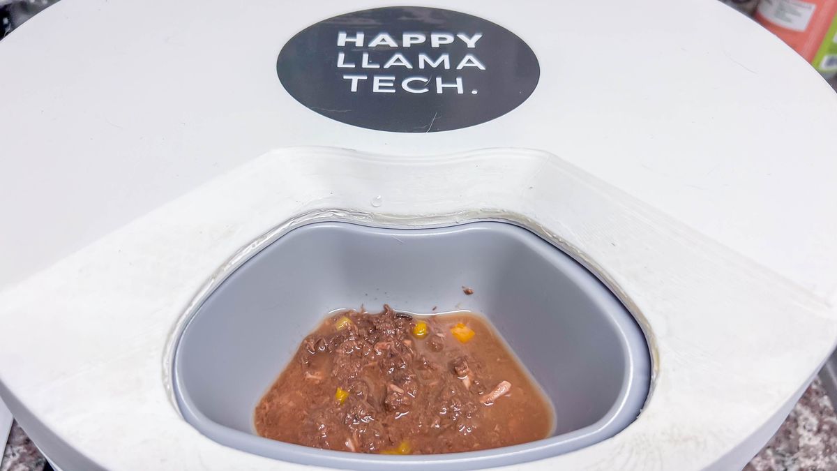 This smart wet food dispenser keeps my cat's dinner chilled and me