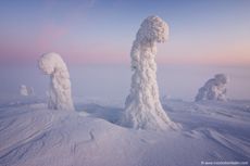 Belt of Venus from Finland