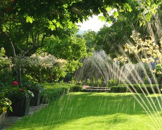 sprinkler in large garden