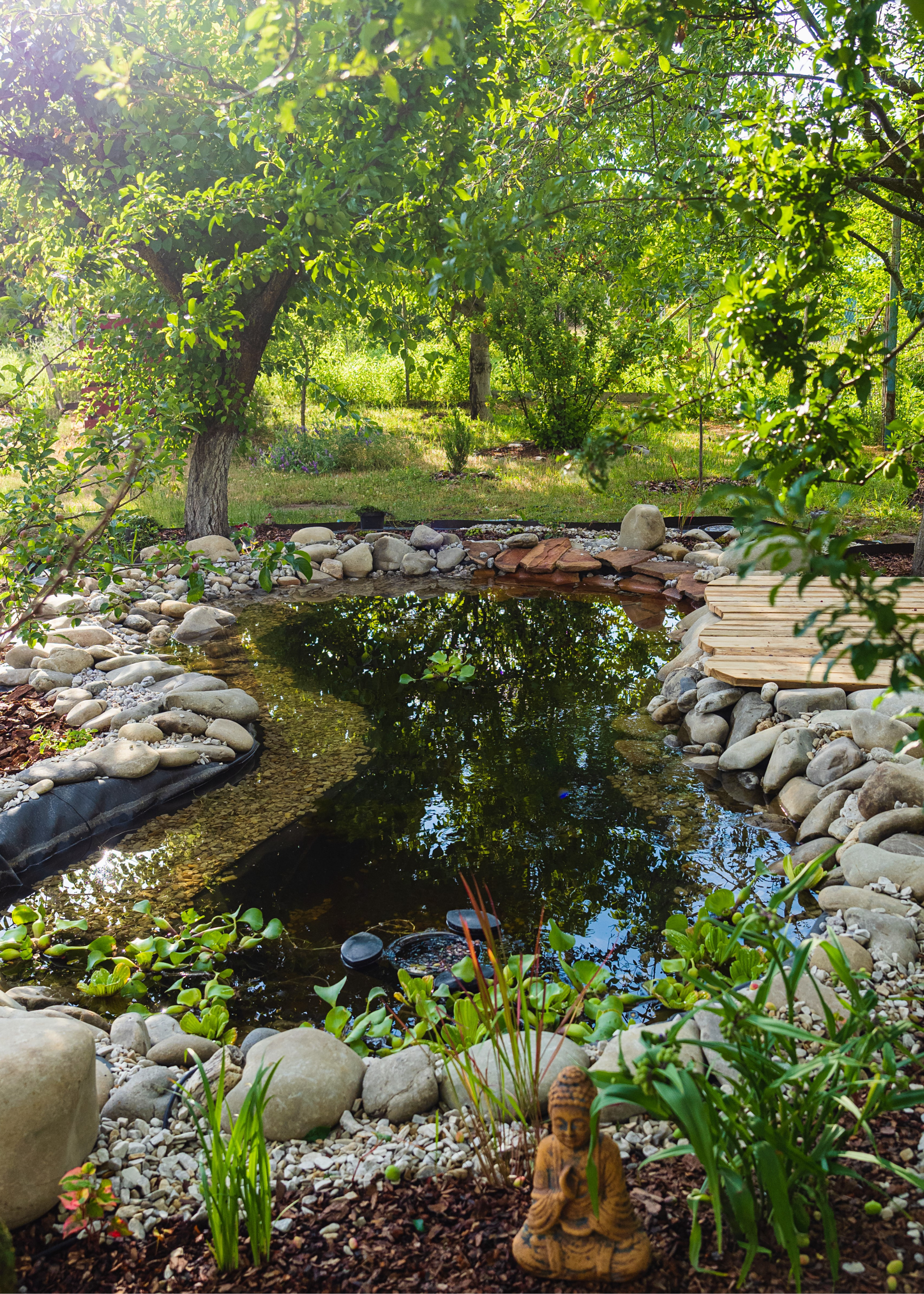 A natural pool in a backyard