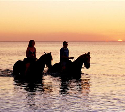 Horses swimming in the sea on holiday
