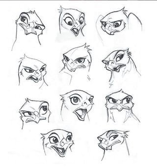 2D art; sketches of a bird's facial expressions