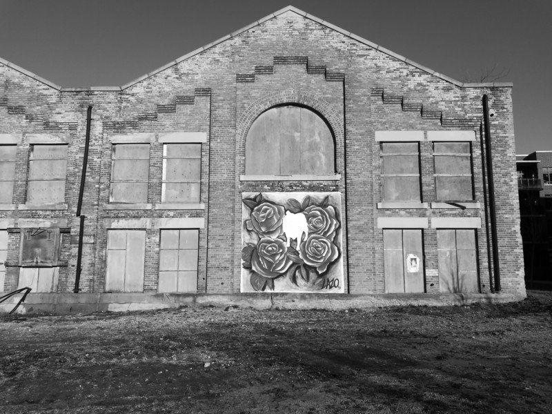 Huawei P9 camera sample - black and white