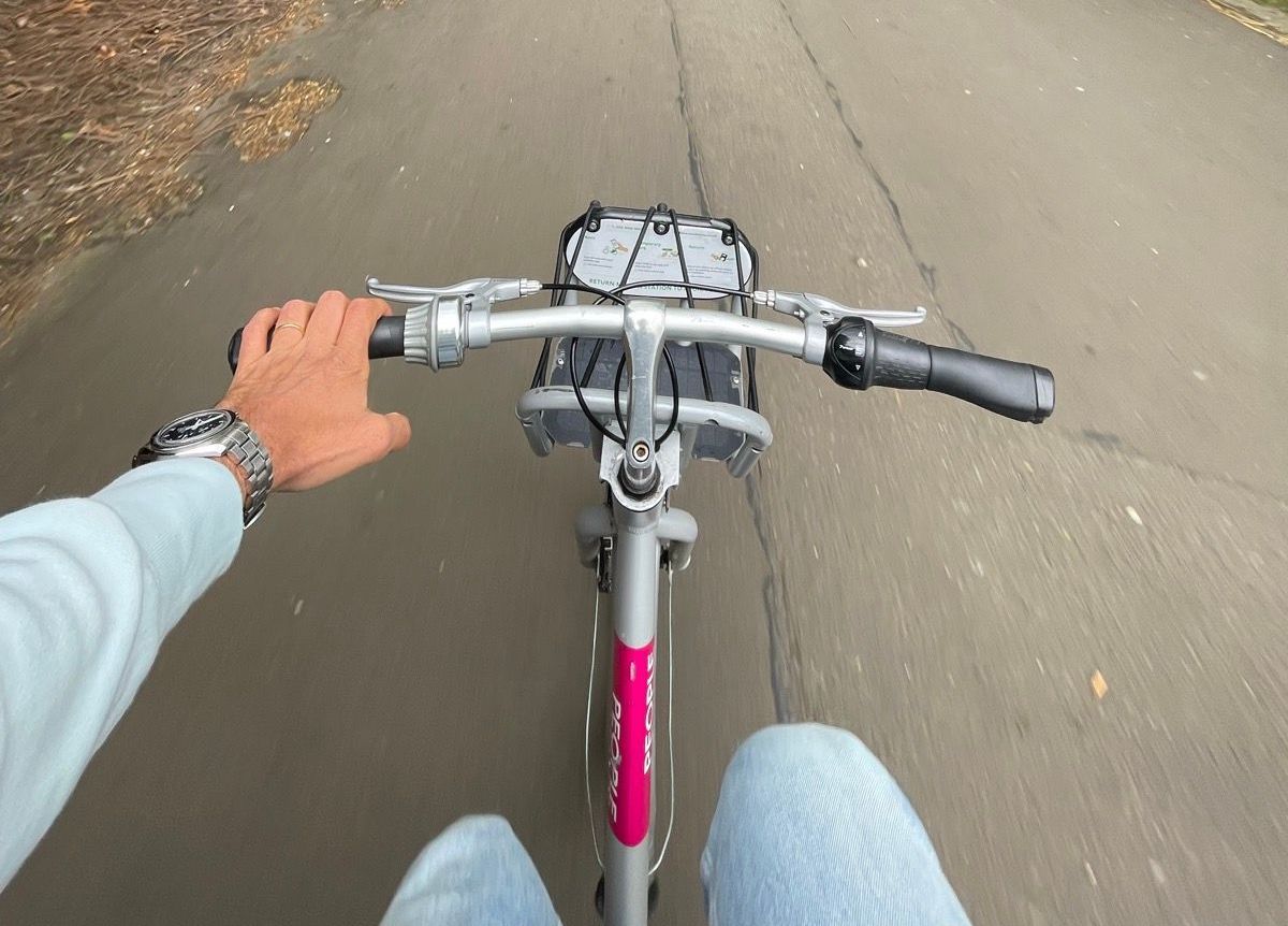 Wout van Aert / Strava