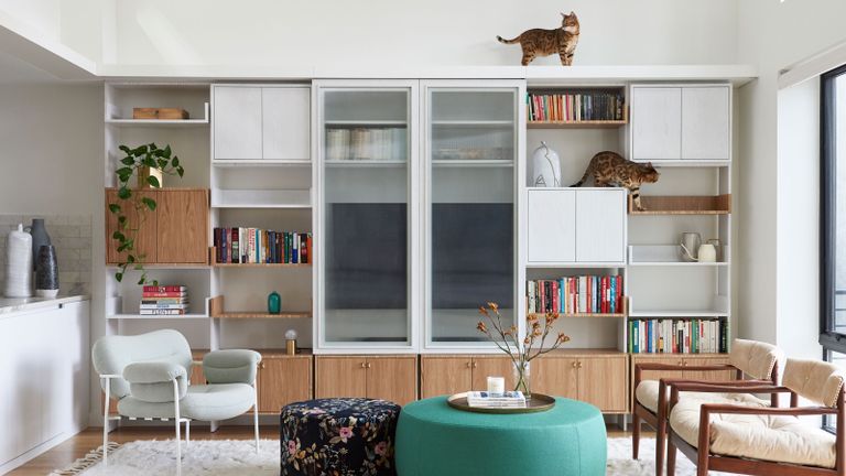 a living room with bengal cats climbing on shelves