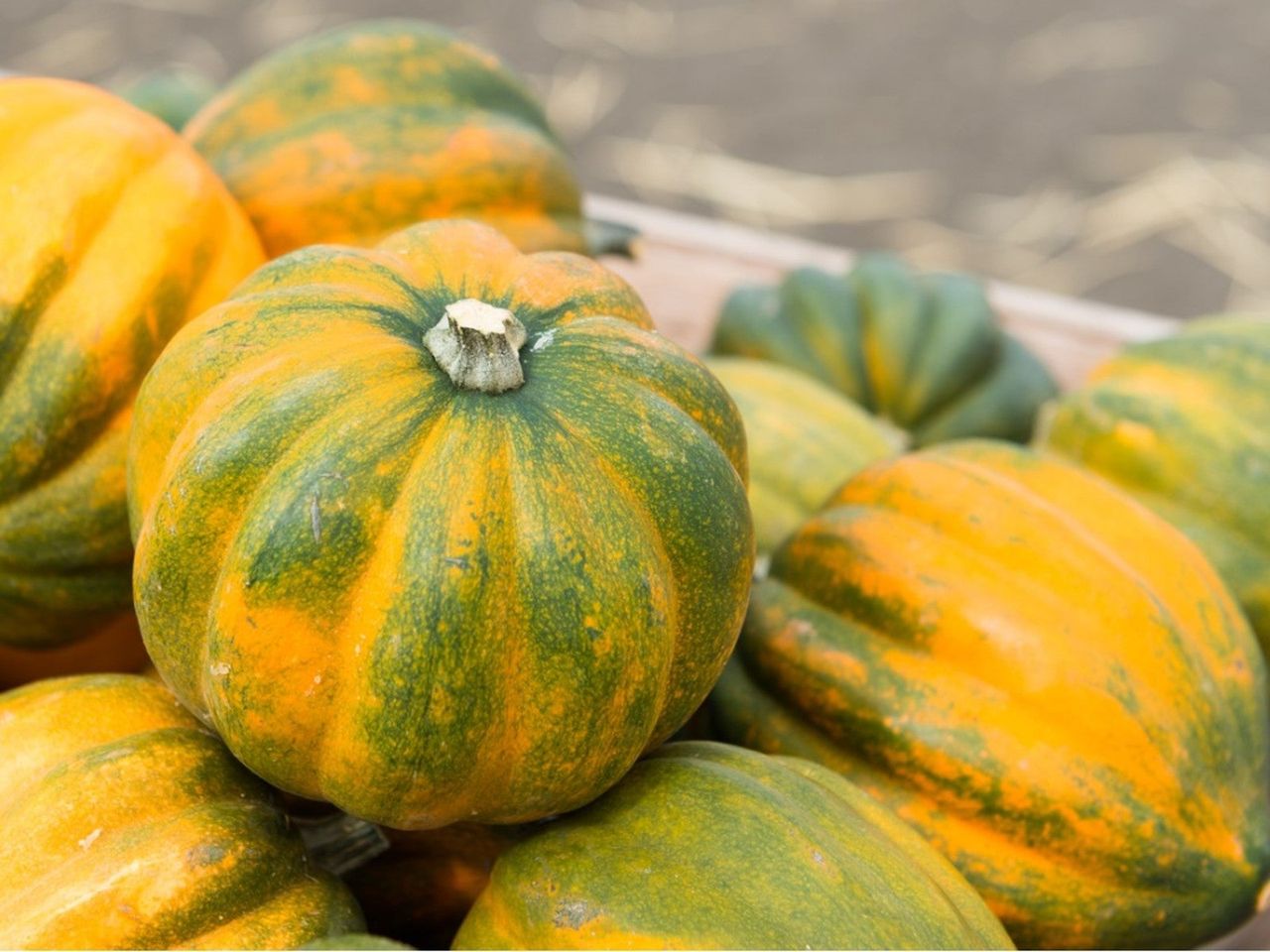 Acorn squash