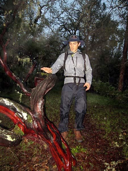 Mike Broderick on a rainy hike in Armstrong Woods, California.