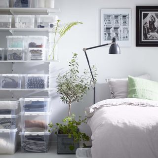 bedroom with purple bedding, houseplants and lots of storage boxes on shelves