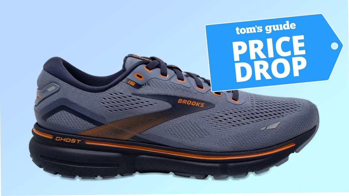 Brooks Ghost 15 running shoe