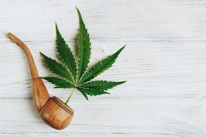 marijuana leaf coming out of wooden smoke pipe on whitewashed background