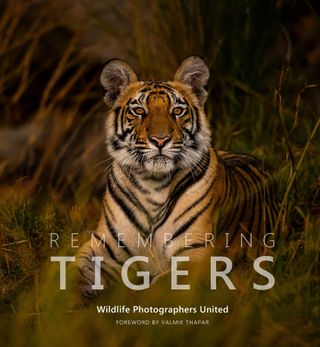Photography of the front cover of the Remembering Tigers book, the ninth in the Remembering Wildlife series