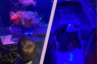 Max looking at display at the Sea Life Centre Birmingham and testing out the kids tunnel