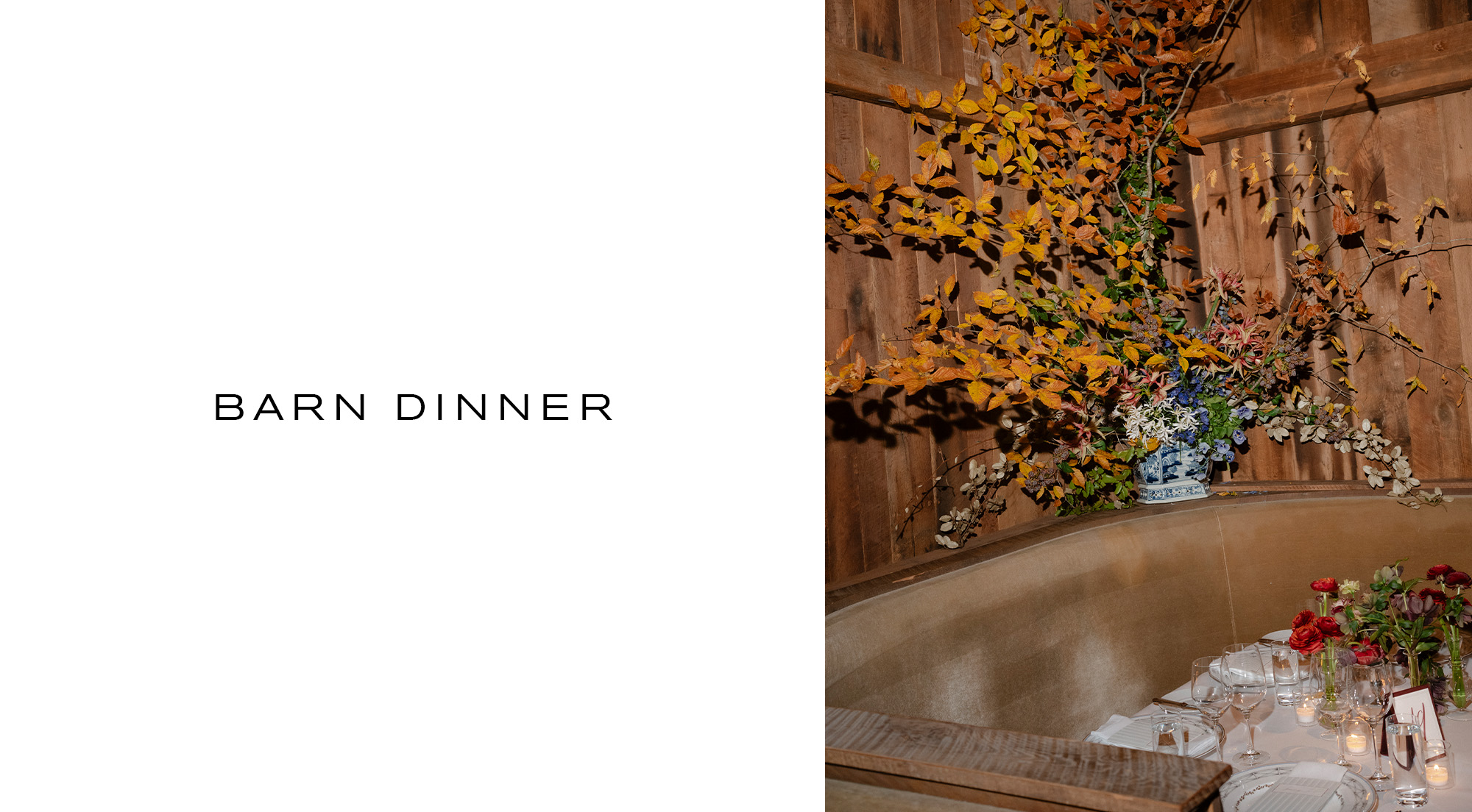 Mollie Mandel and Matthew Stewart wedding.