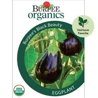 Burpee Organic Burpee's Black Beauty Eggplant Vegetable Seed,