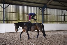 Vaulting_NewYearChal14pn_51865.jpg