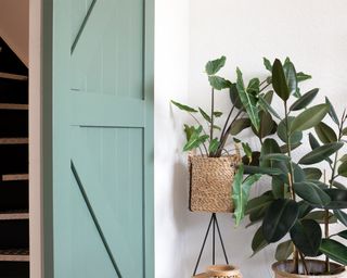 Blue painted barn door, white walls, green houseplants