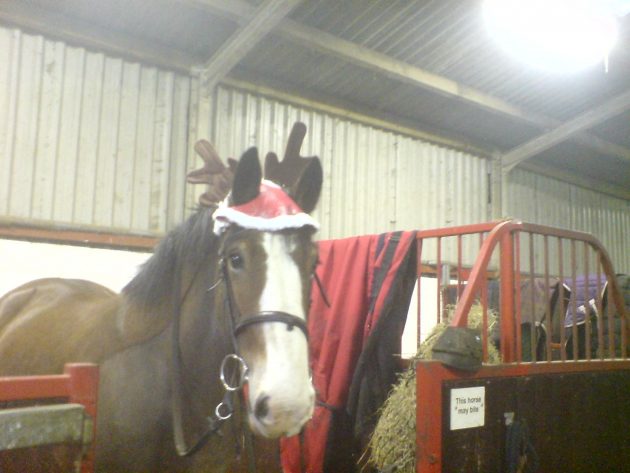 hovis-reindeer-e1482421741583.jpg