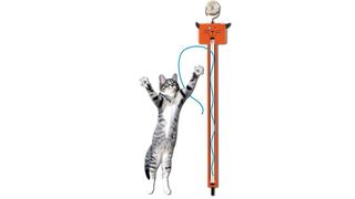 Moody Pet Fling-AMA-String Cat Toy