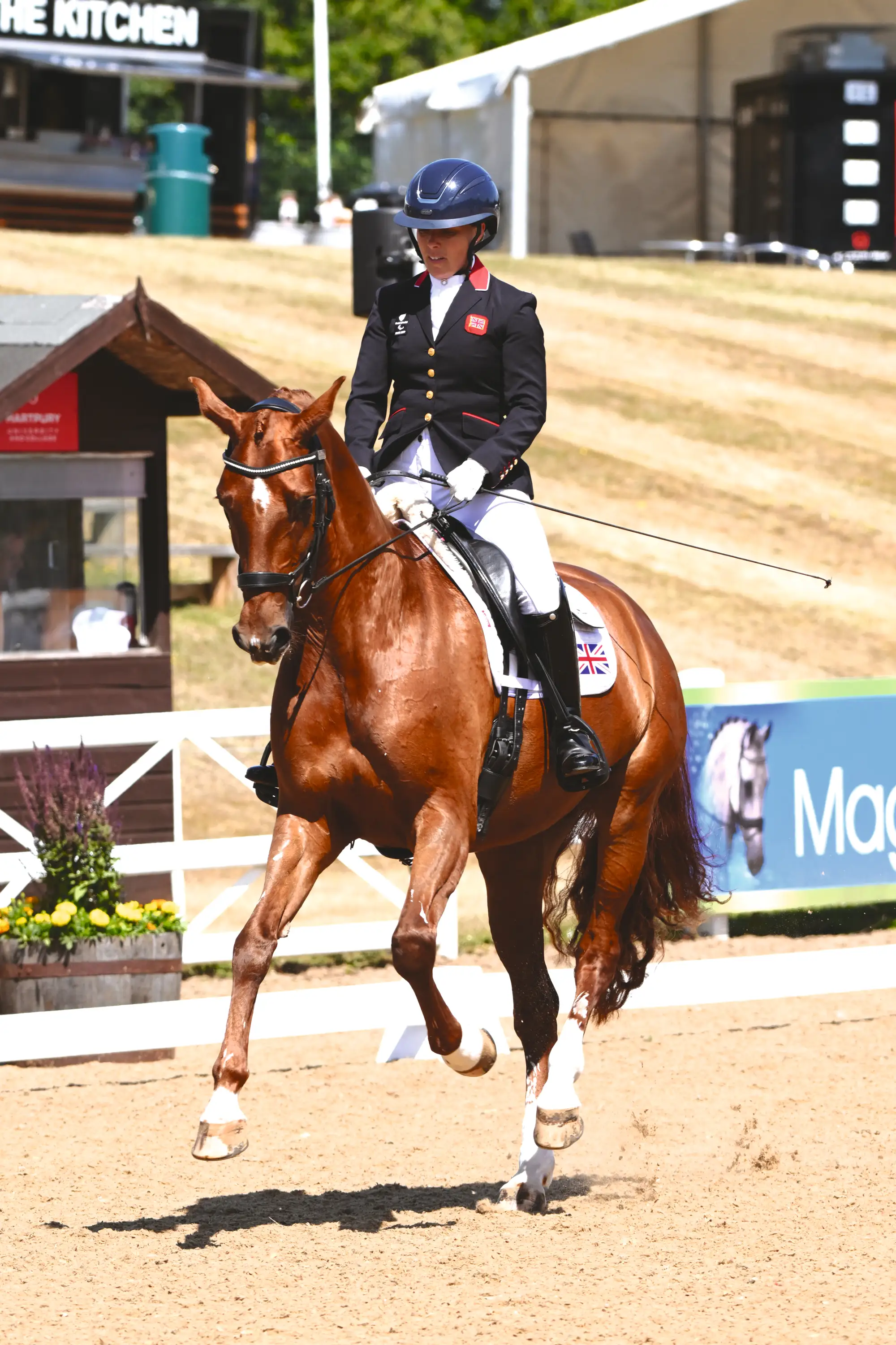 Sophie Wells canters MSJ Gold Standard towards the camera