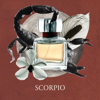 on the nose fragrance horoscope