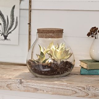 Illuminated Glass DIY Terrarium, Lights4fun