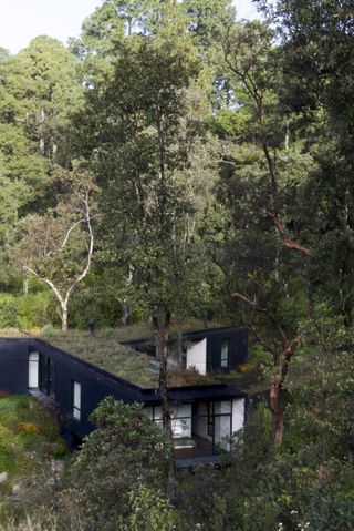 Cadaval Sola-Morales design house in mexican forest