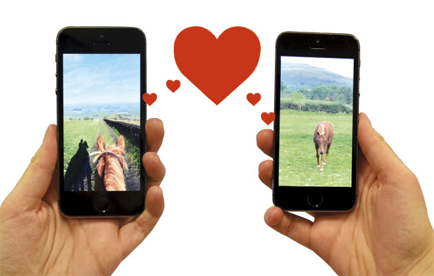 horsey tinder