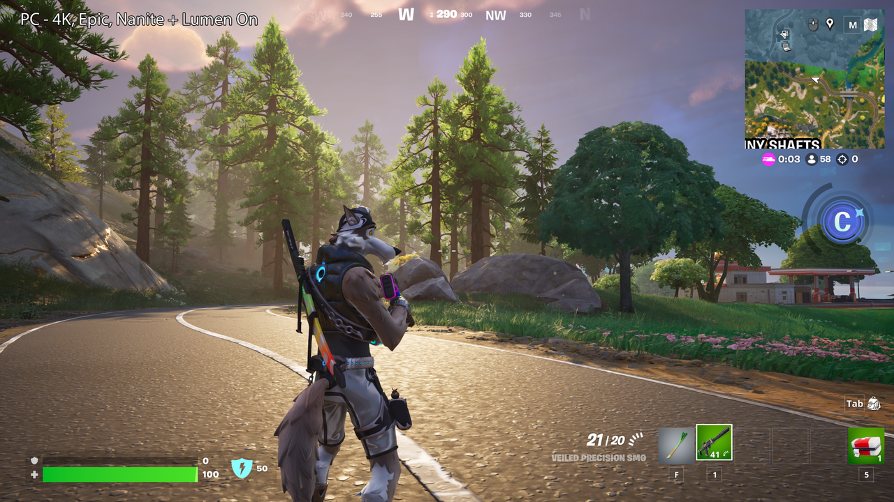 A view of Fortnite on the PC