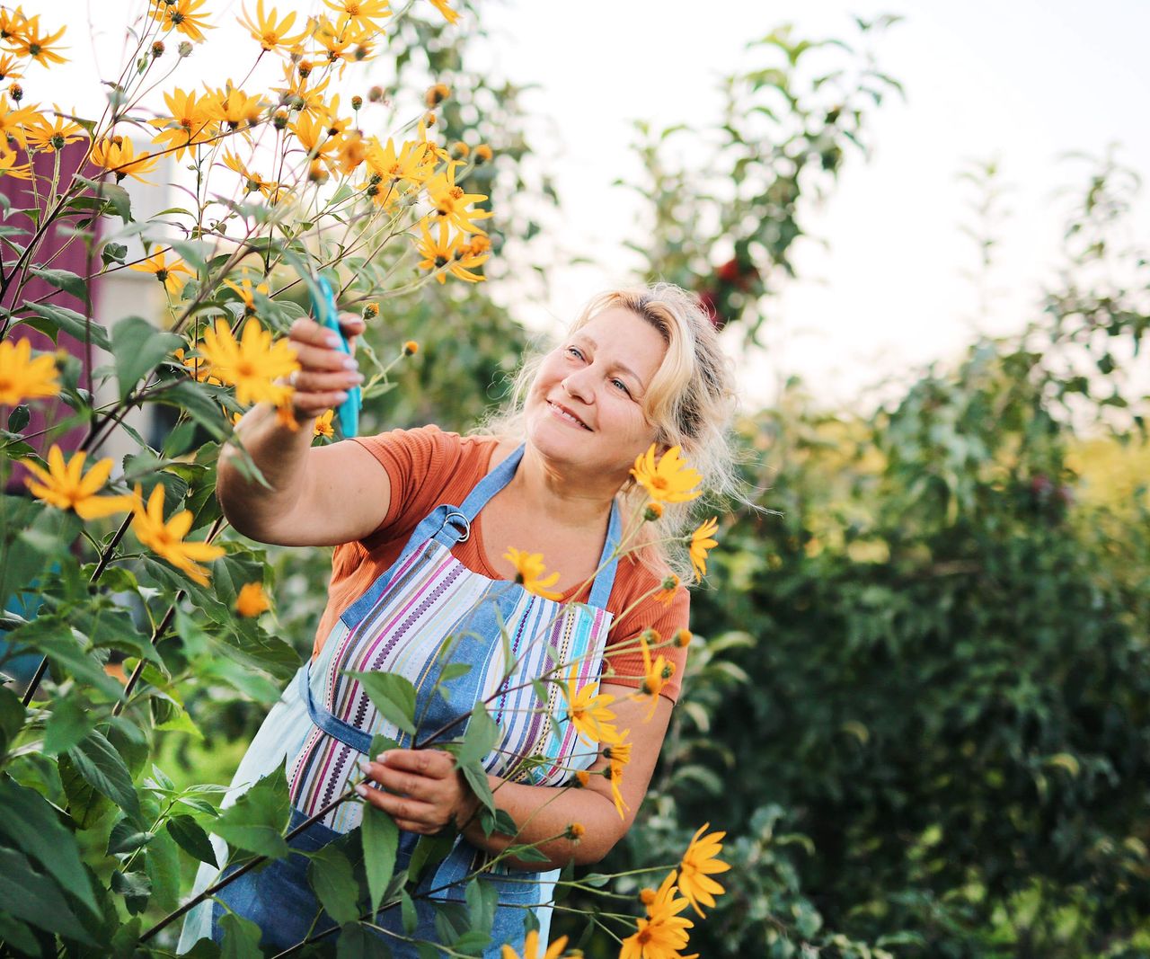 When to prune shrubs: expert tips to trim at the right time | Homes and ...