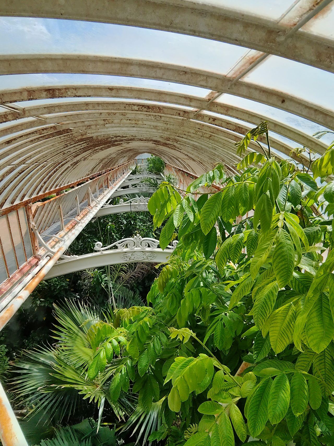 Sample image taken at Kew Gardens using the Rokid AI Glasses Style