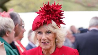 Camilla, The Queen Consort, Colonel, Grenadier Guards is seen meeting guests