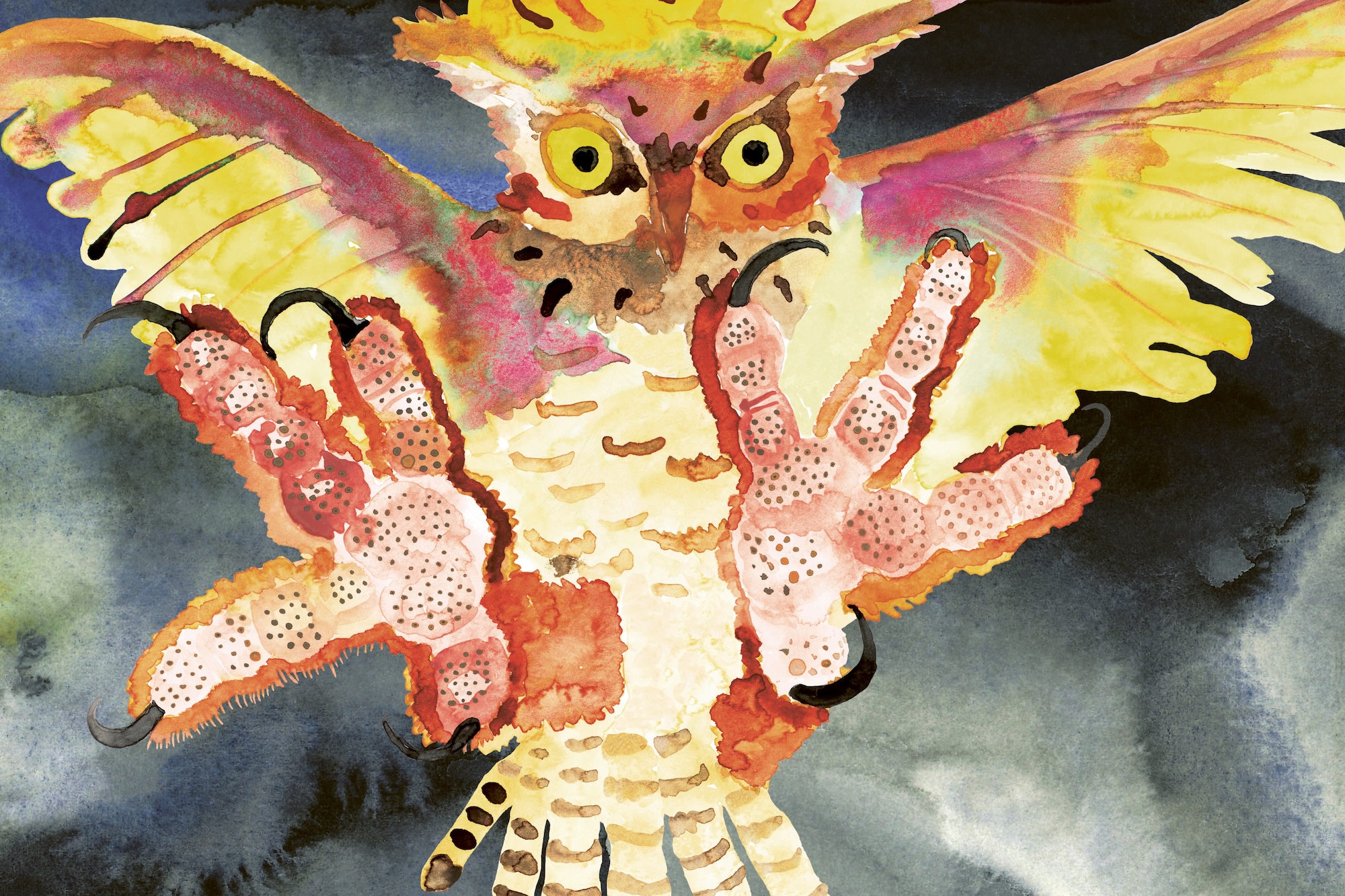 oralee clare crespo book