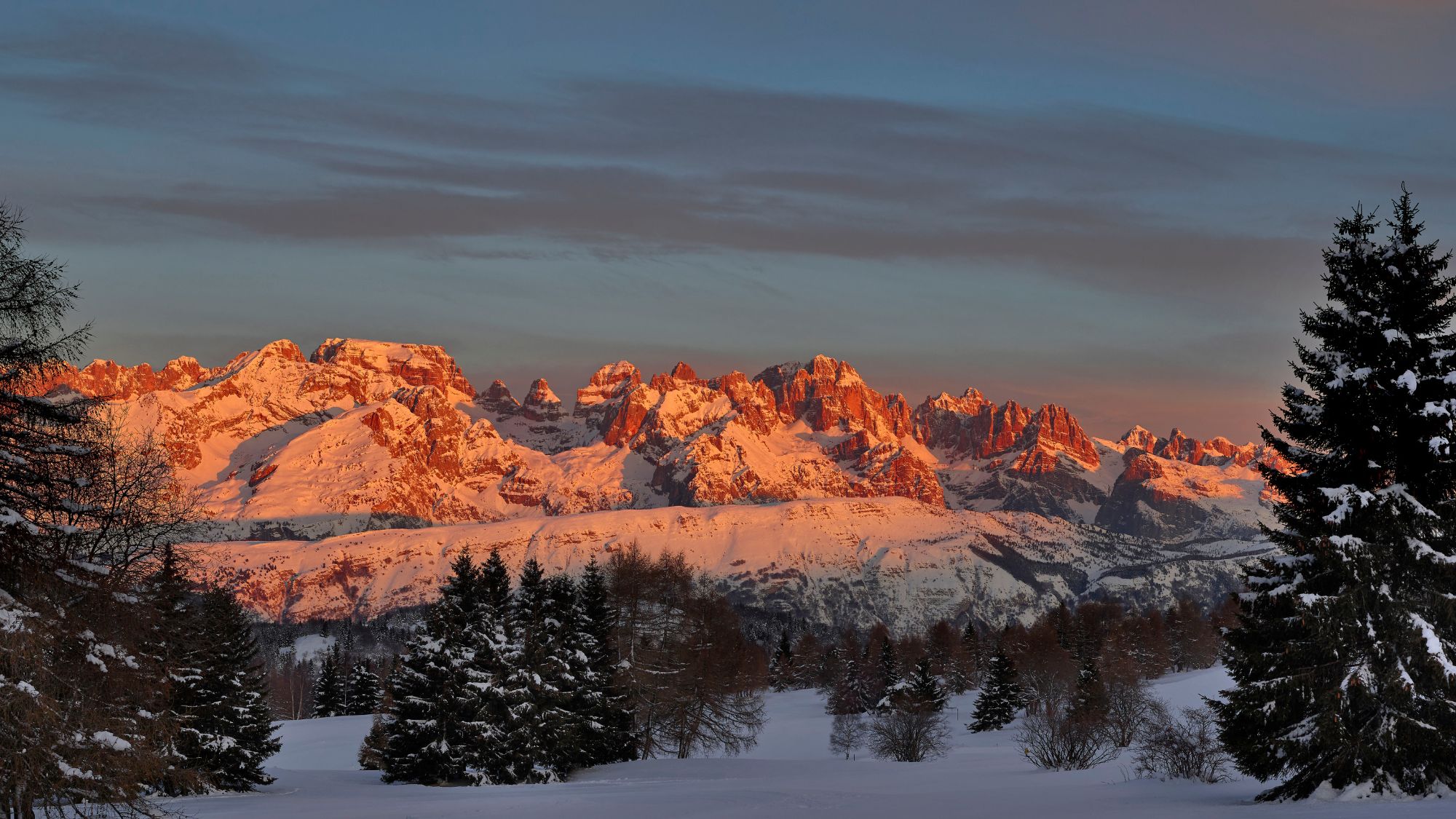 Trentino
