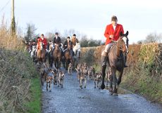 Go-hunting-in-Ireland.jpg