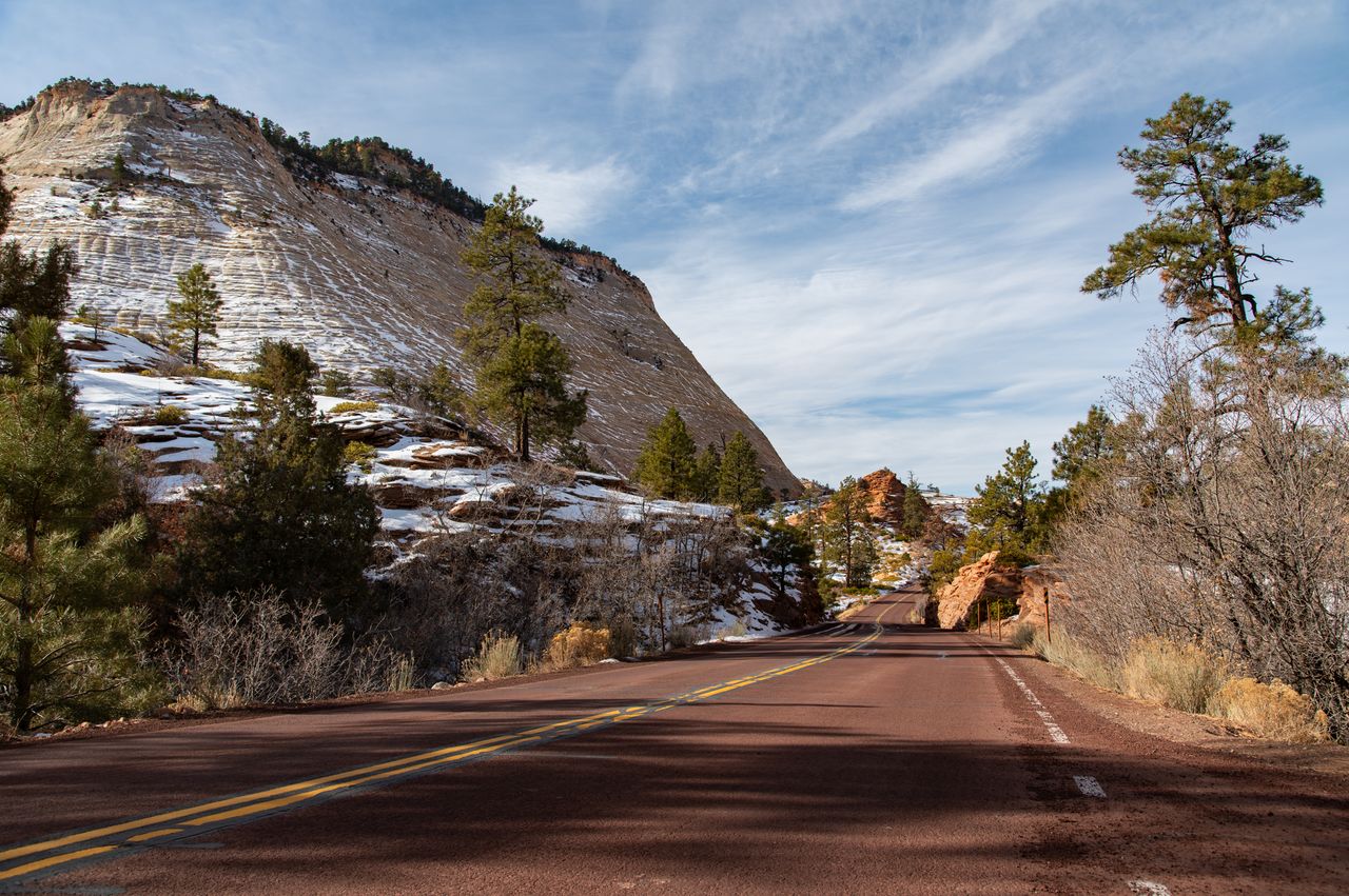 Nikon D780 review