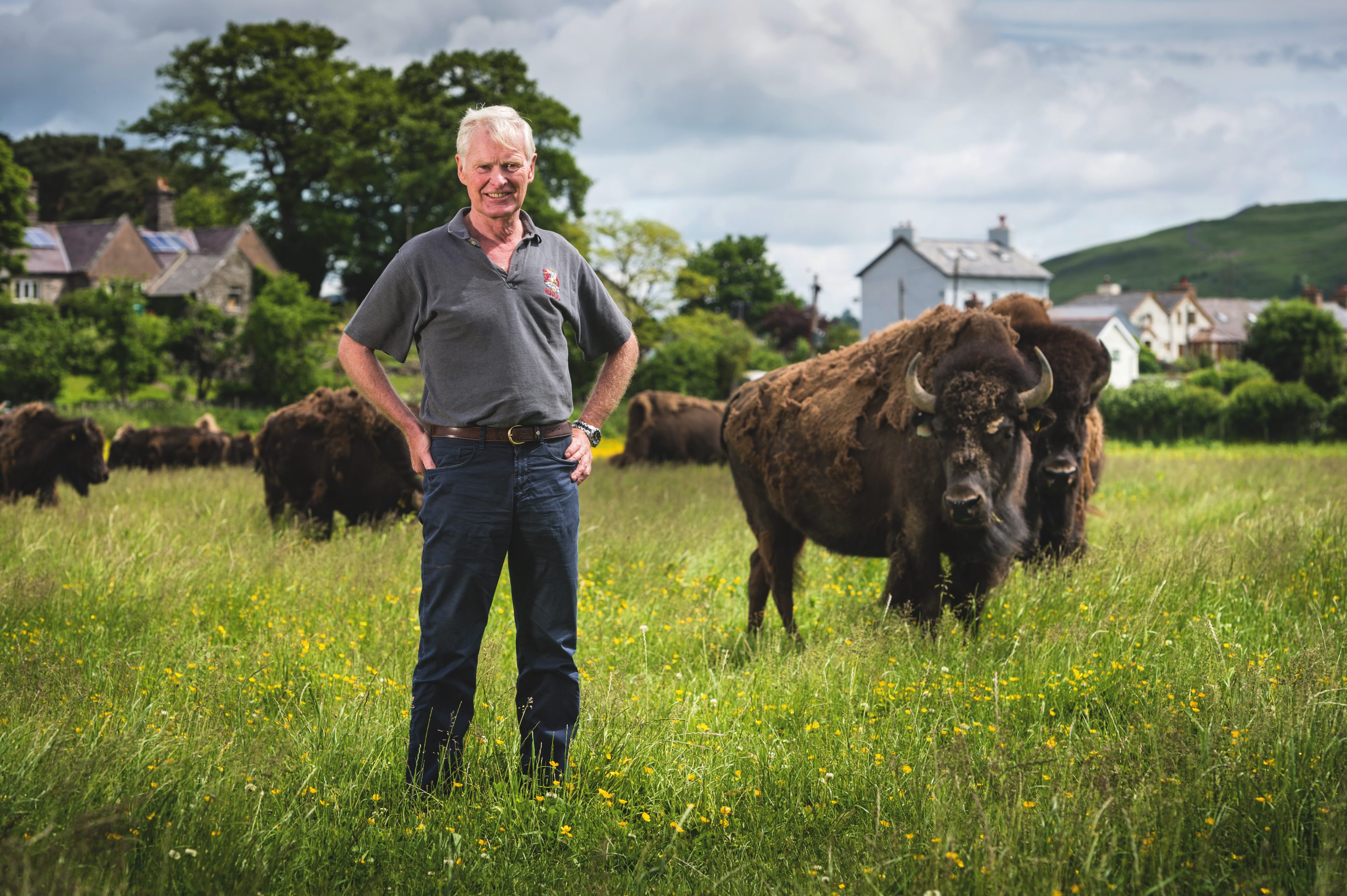 Lord Robert Newborough photographed standing in a field with some bison